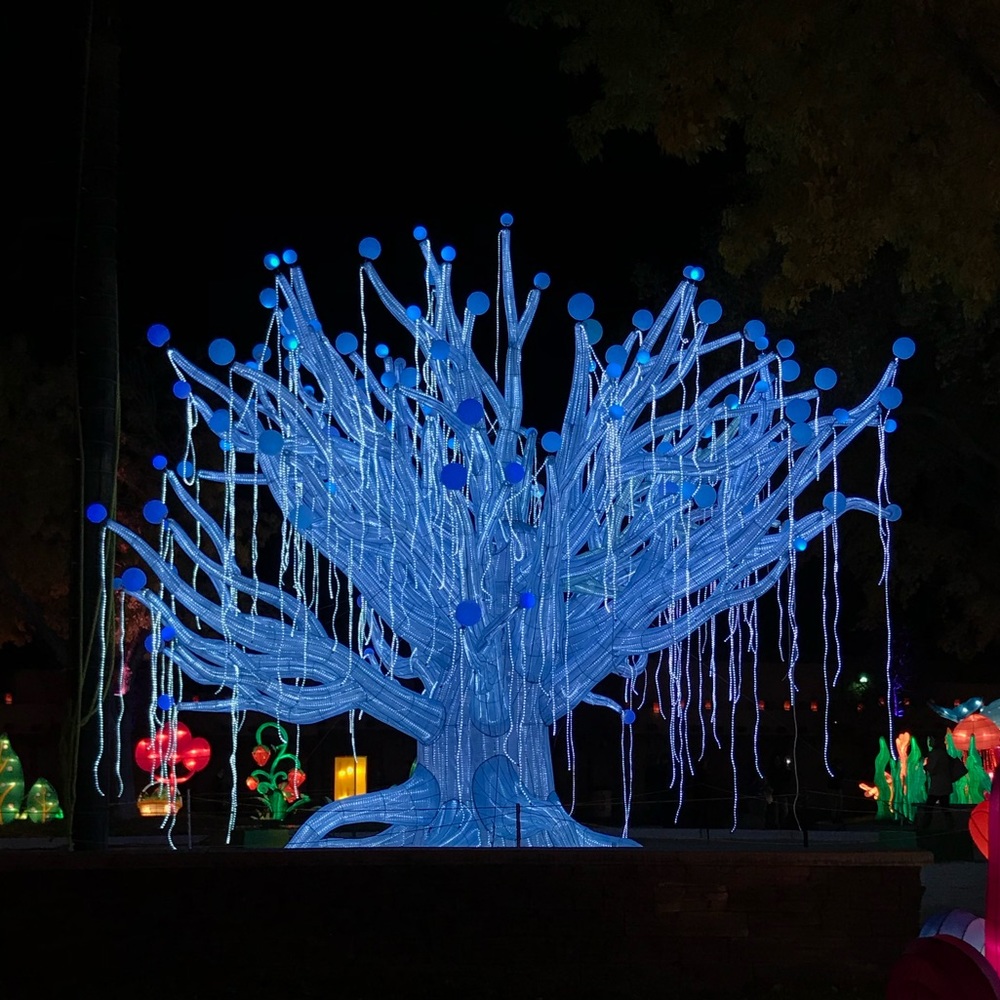 Meet your Posher, Tamara